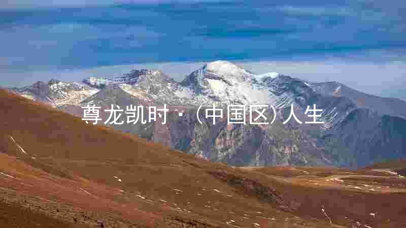尊龙凯时·(中国区)人生