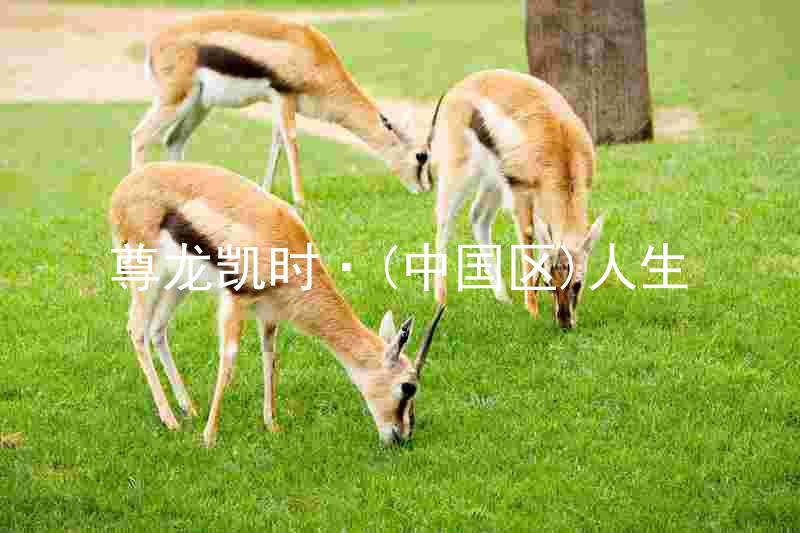尊龙凯时·(中国区)人生